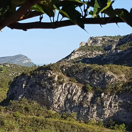 La Loubiere, Ancienne Bergerie En Pleine Garrigue ベッド・アンド・ブレックファスト