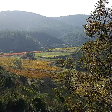 La Loubiere, Ancienne Bergerie En Pleine Garrigue ベッド・アンド・ブレックファスト