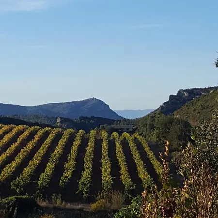 La Loubiere, Ancienne Bergerie En Pleine Garrigue ベッド・アンド・ブレックファスト *