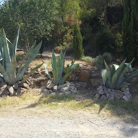 La Loubiere, Ancienne Bergerie En Pleine Garrigue ベッド・アンド・ブレックファスト Fraissé-des-Corbières